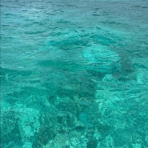 Meet your Posher, Bianca